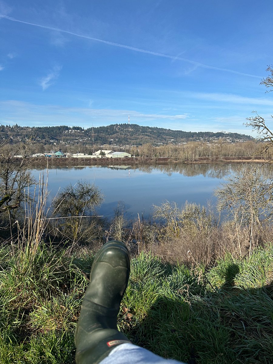 Oaks Bottom nature preserve hosts a variety of wildlife including bald eagles. Just across the street