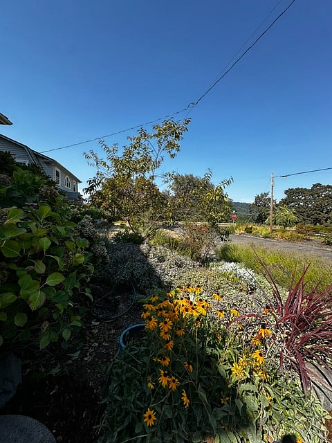 Hearty garden