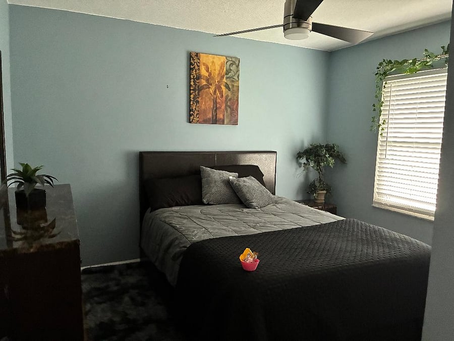 Furnished Finder property 1024152_1 photo 17