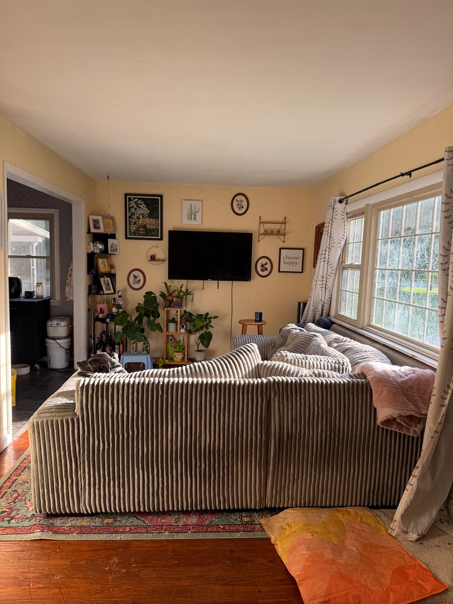 Furnished Finder property 1024181_1 photo 11