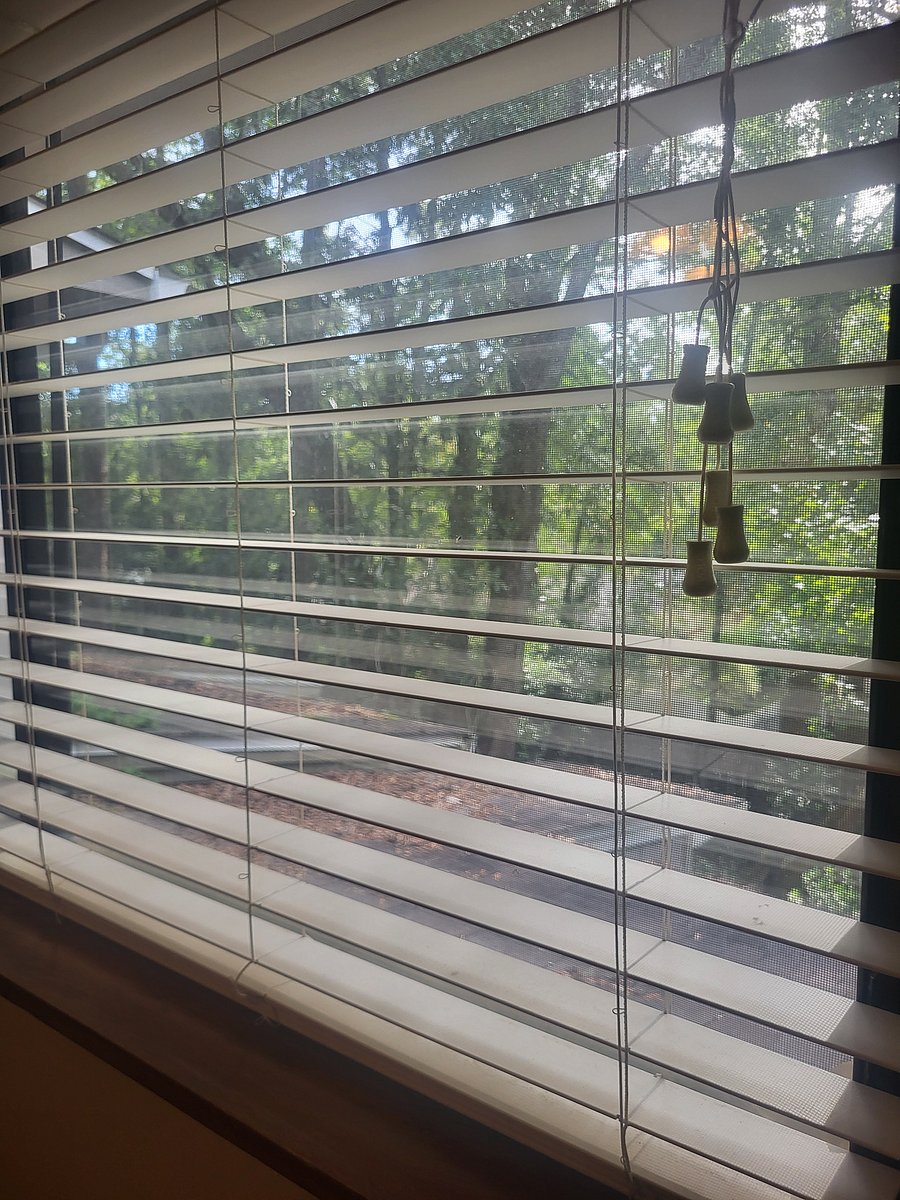 Furnished Finder property 1024185_1 photo 5