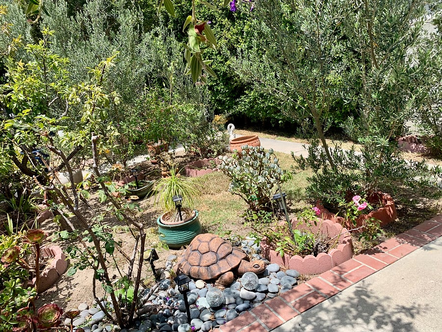 Furnished Finder property 1024198_1 photo 10
