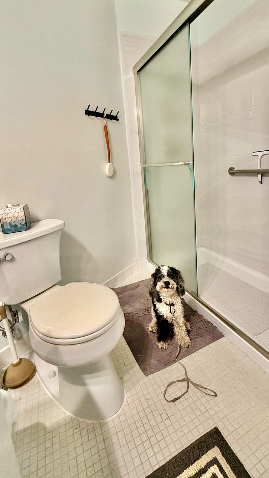 Furnished Finder property 1024243_1 photo 10