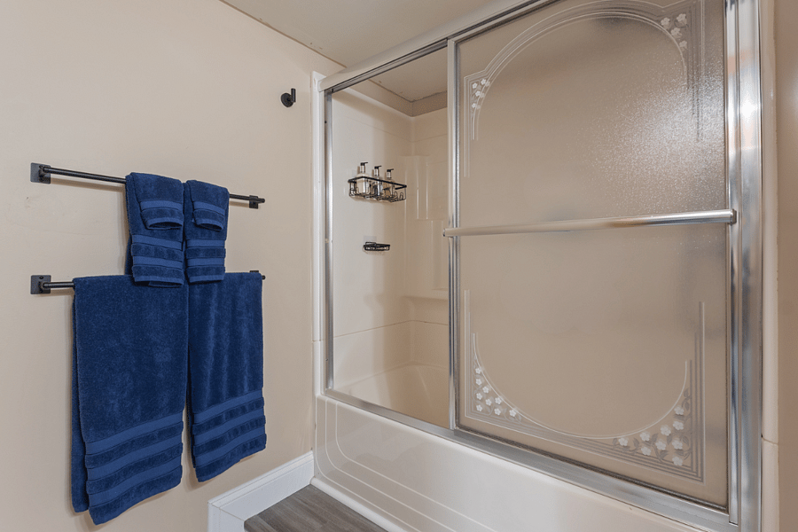 Full bathroom lower level