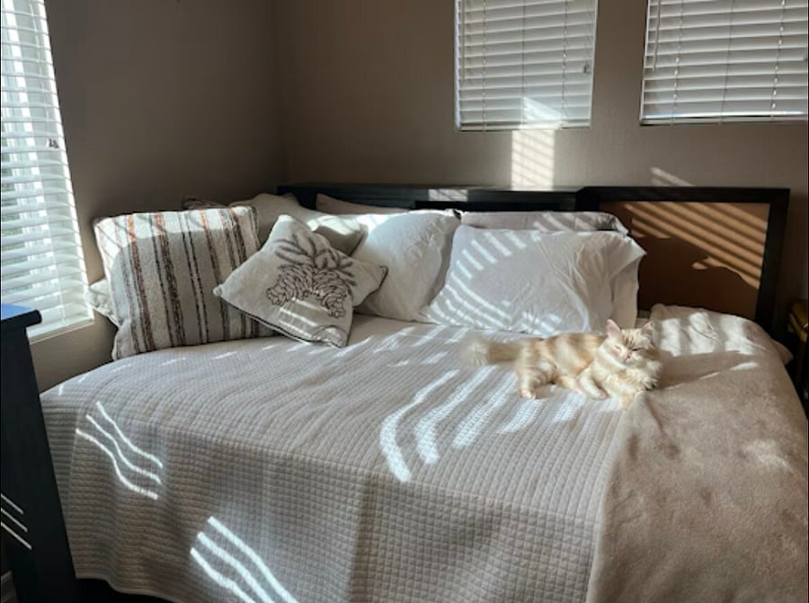 Furnished Finder property 1024313_1 photo 17