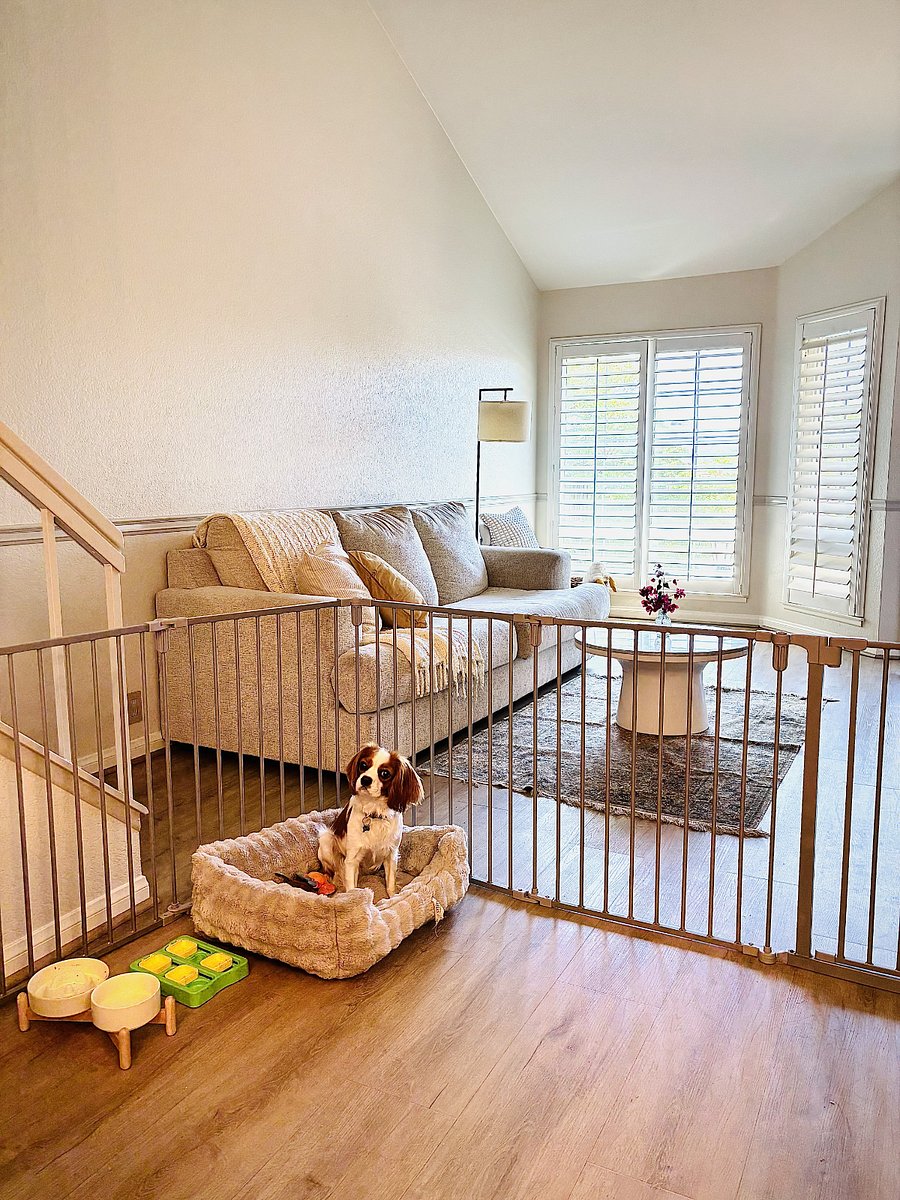 Furnished Finder property 1024326_1 photo 9