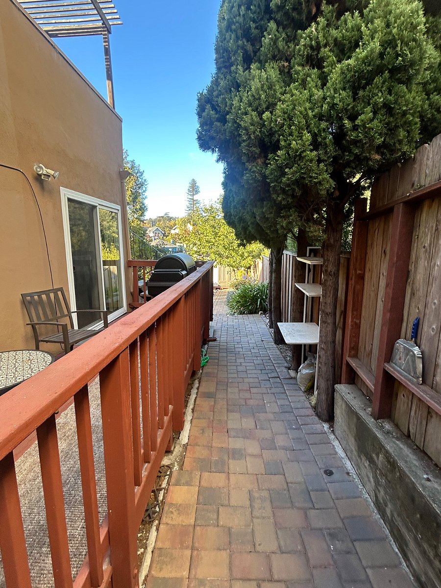 Furnished Finder property 1024381_1 photo 5