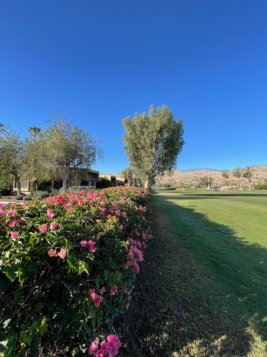Furnished Finder property 1024423_1 photo 19