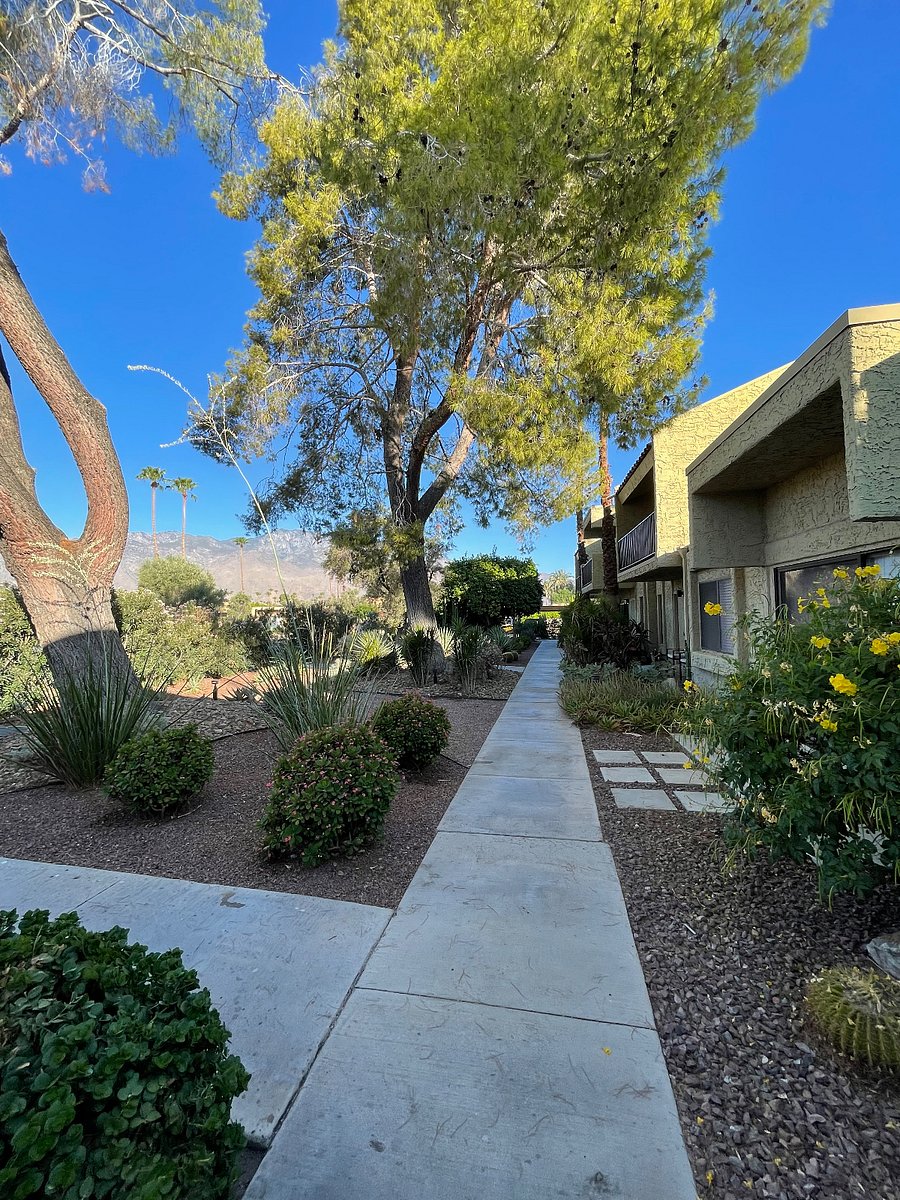 Furnished Finder property 1024423_1 photo 20