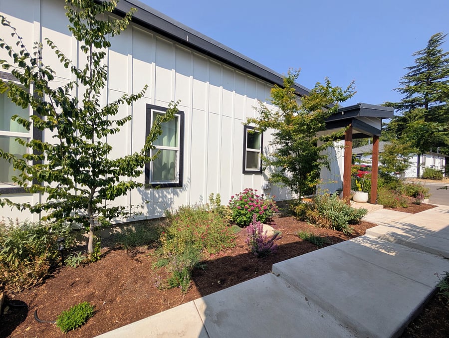 Native landscaping with pollinator friendly plants