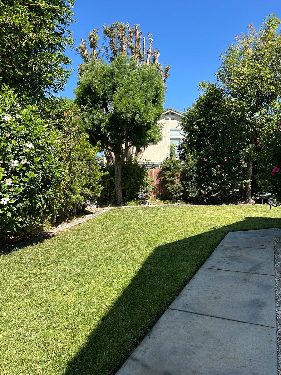 Furnished Finder property 1024455_1 photo 11
