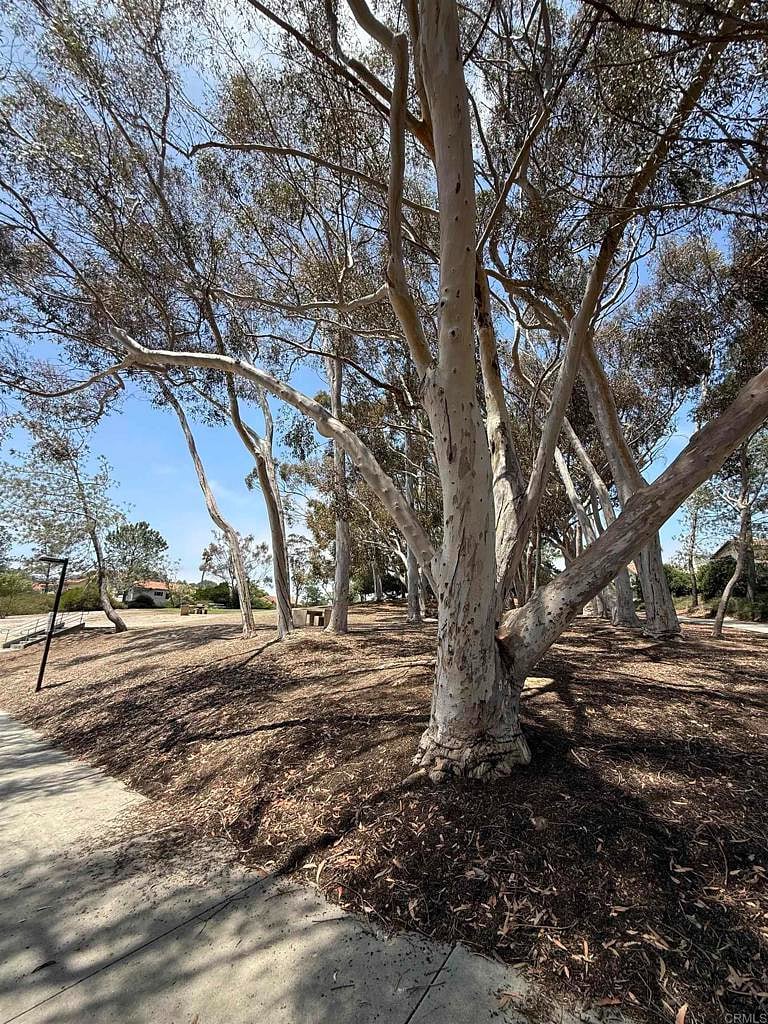 Furnished Finder property 1024513_1 photo 20