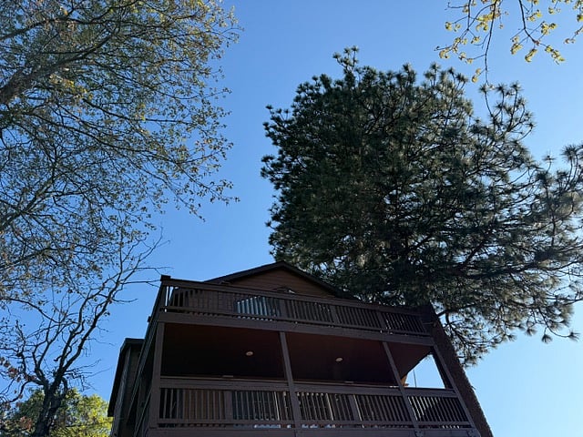Furnished Finder property 1024532_1 photo 33