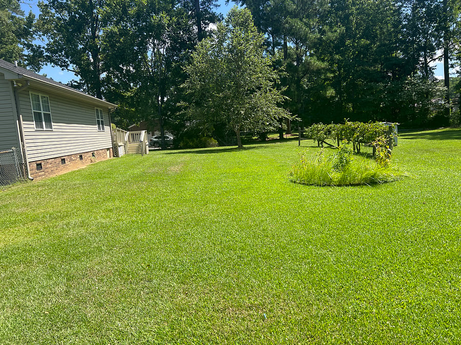 Furnished Finder property 1024603_1 photo 4