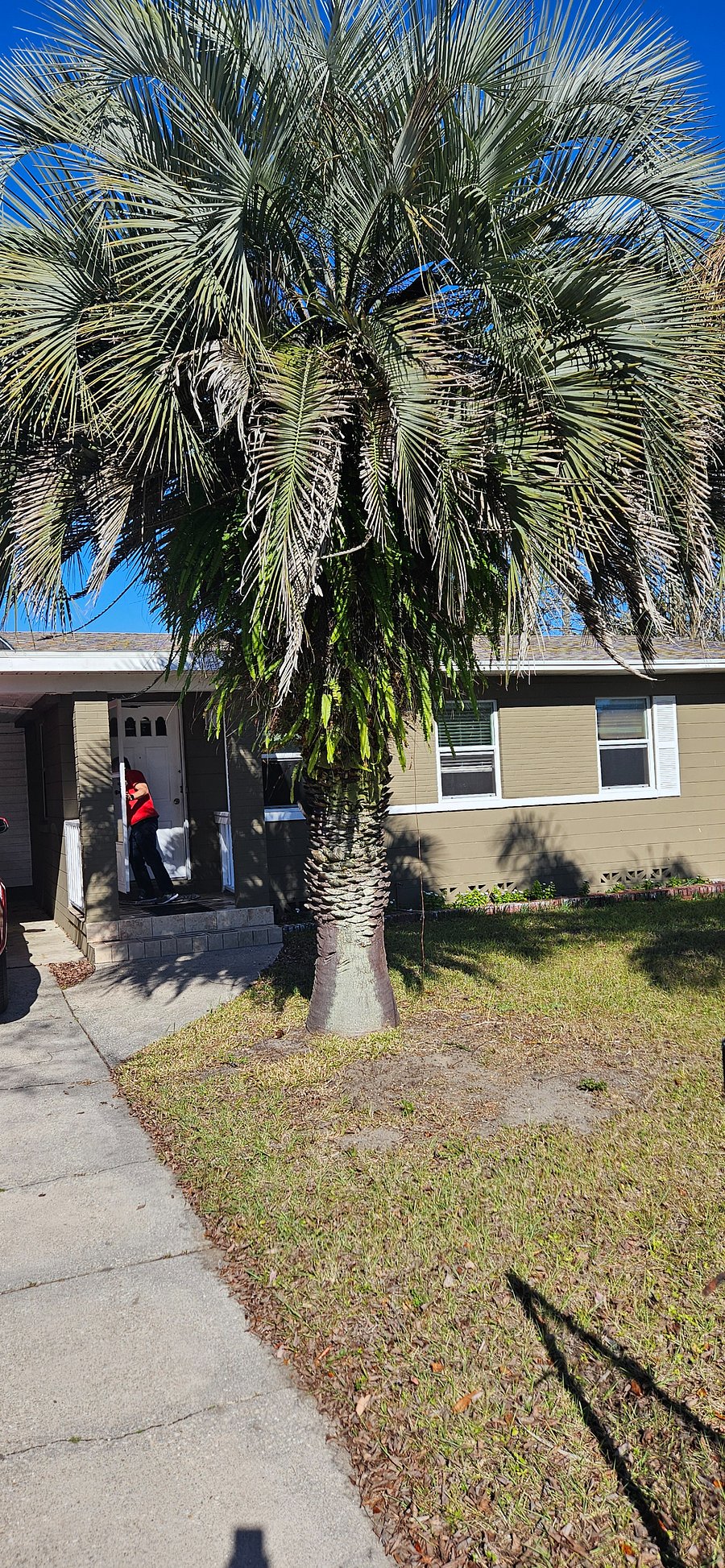 Furnished Finder property 1024635_1 photo 43