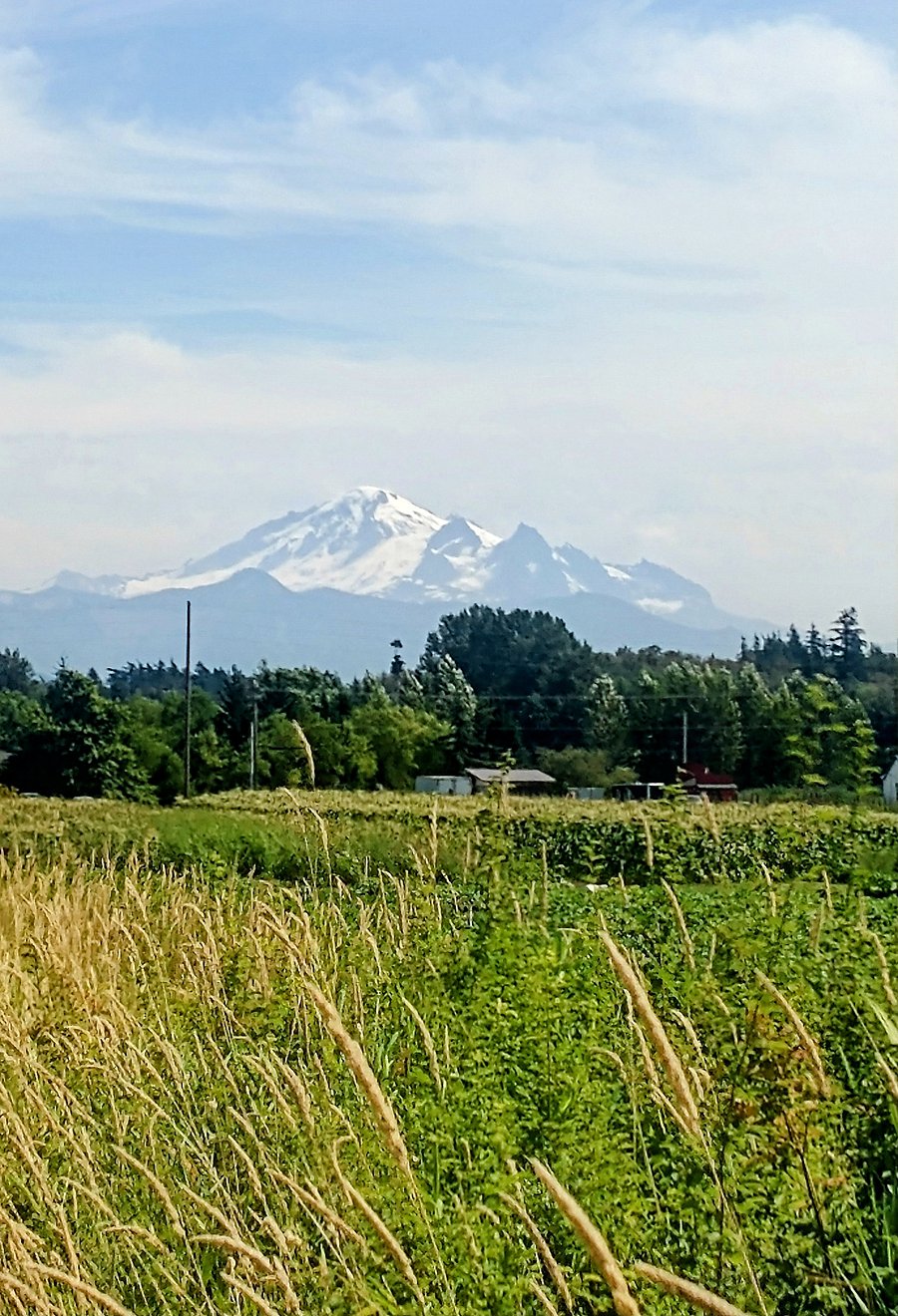 See My Baker from our driveway.