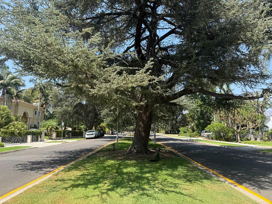 main street view