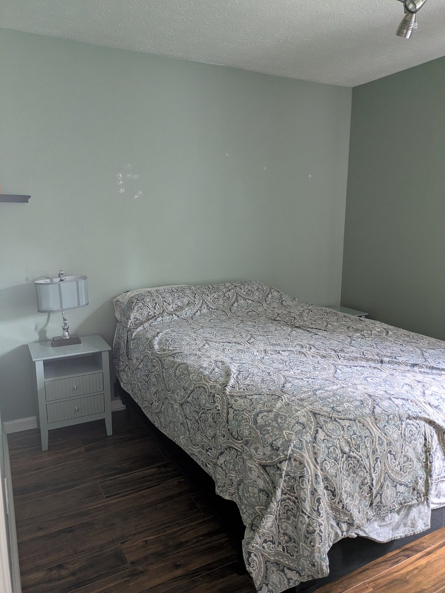 Furnished Finder property 1024691_1 photo 8