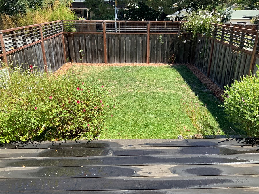 Back Yard