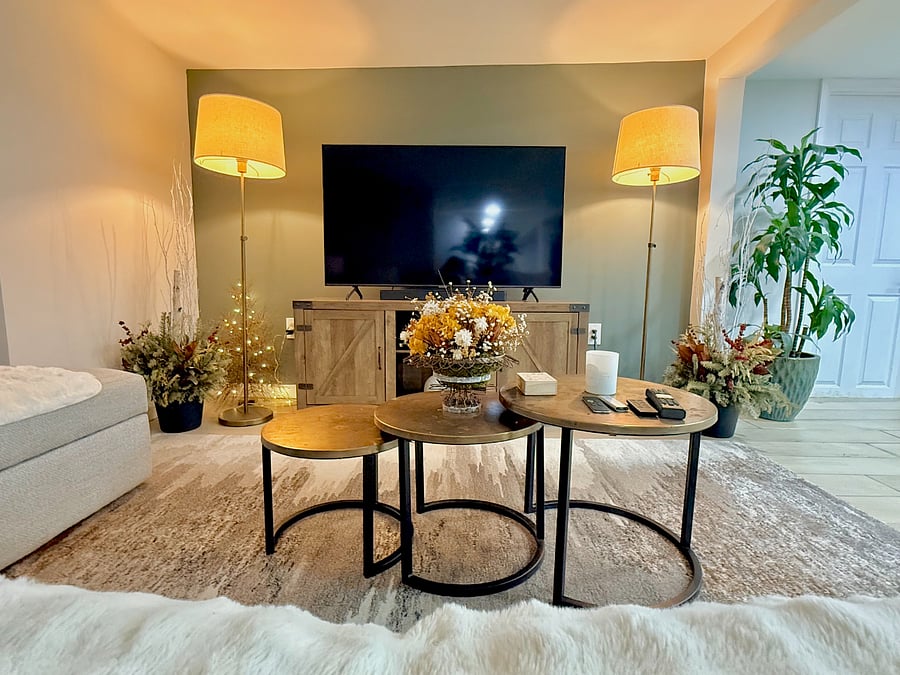 Family Room Living Area 2