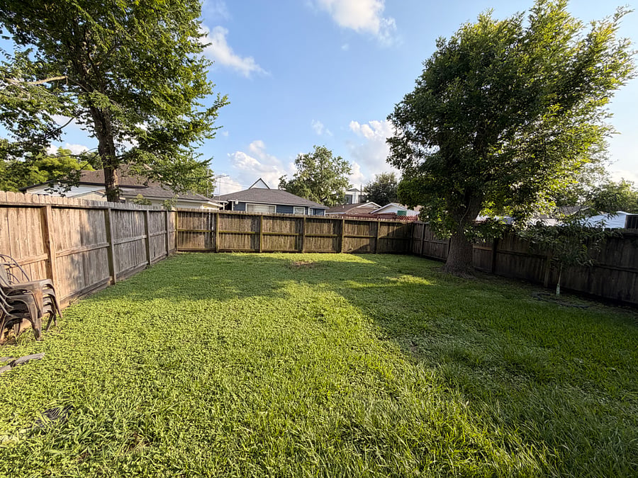 Back Yard