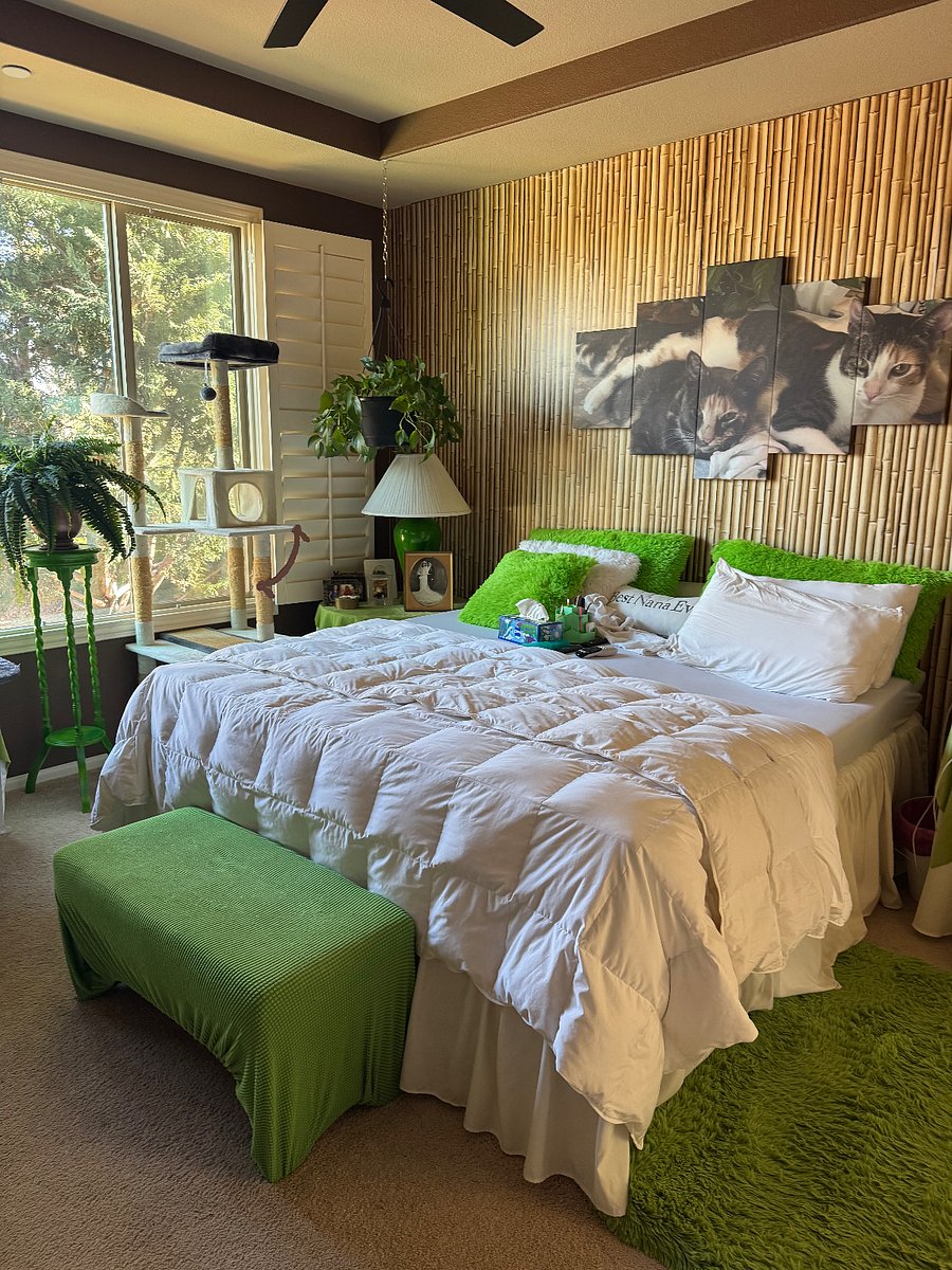 Furnished Finder property 1025047_1 photo 8