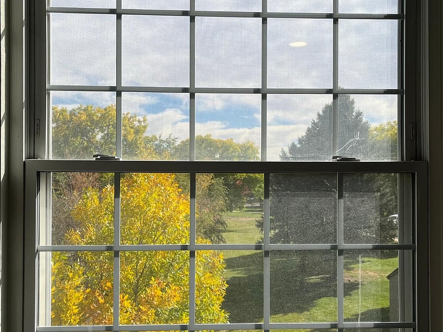 View from second bedroom window.