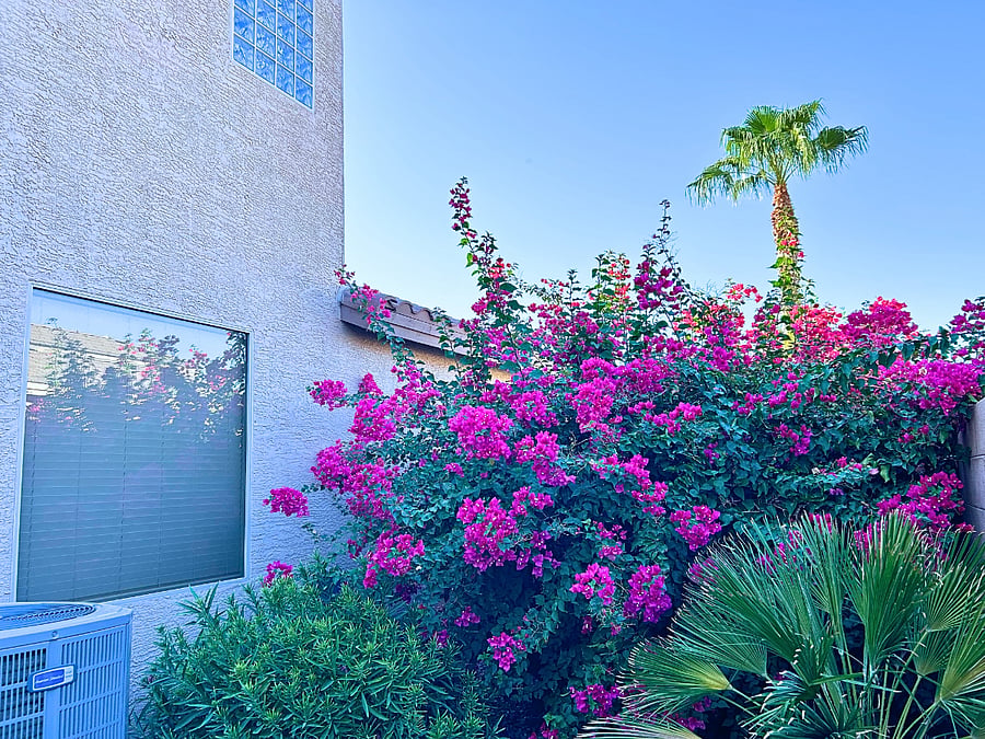 Furnished Finder property 1025146_1 photo 18