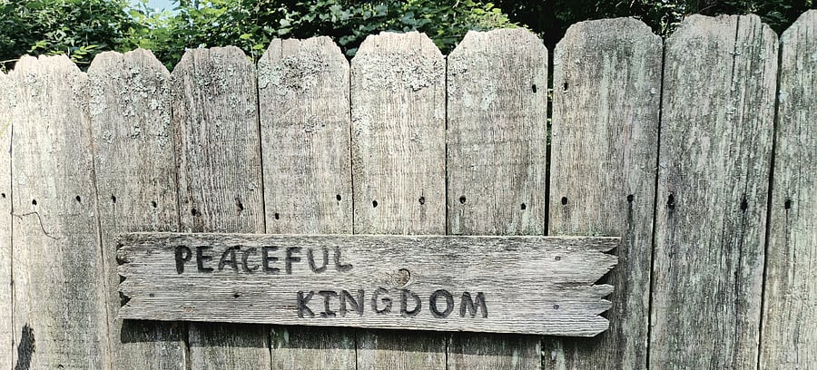 It's official. My Peaceful Kingdom:).
