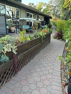 Path behind house to rental's private entrance.