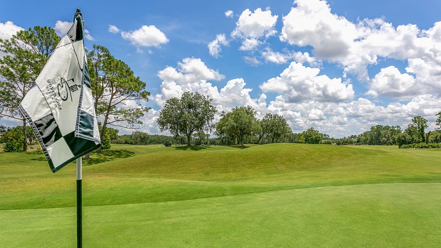 Nearby golf courses include the famed TPC and World Golf Village