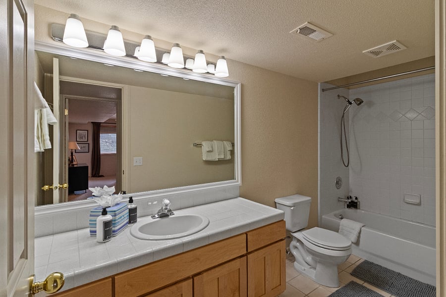 Bathroom 2 / Combo Tub/Shower