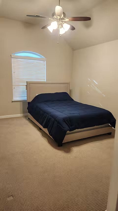 Furnished Finder property 1025248_1 photo 17