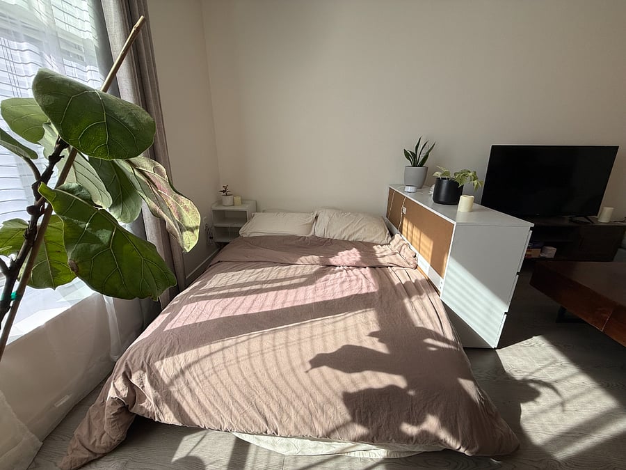 Furnished Finder property 1025318_1 photo 15