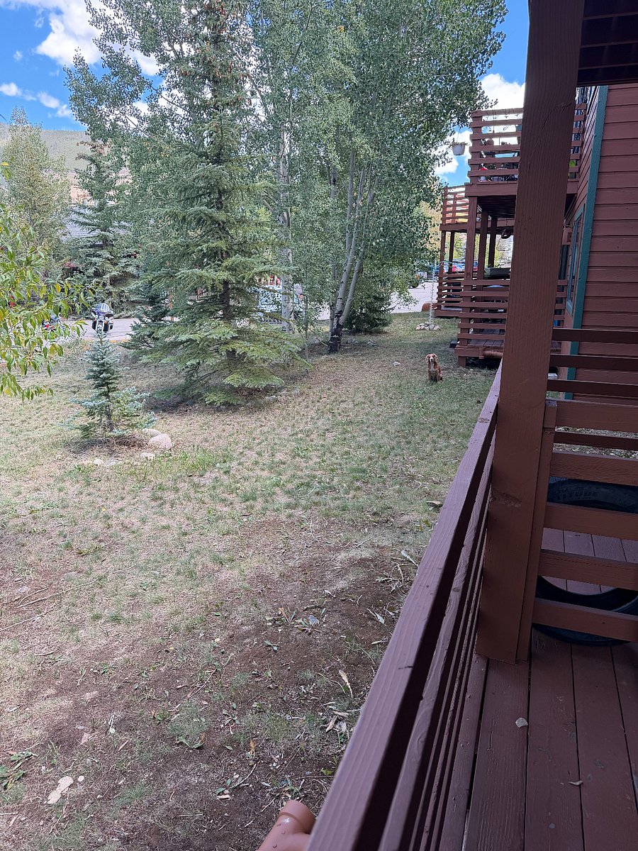 view off back deck 