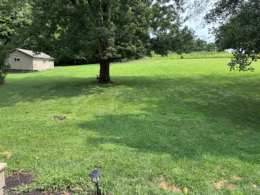 Furnished Finder property 1025455_1 photo 20