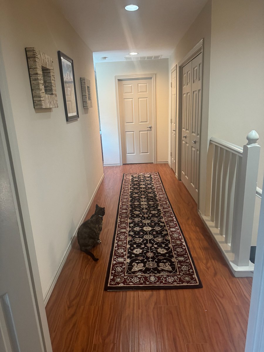 Furnished Finder property 1025474_1 photo 4