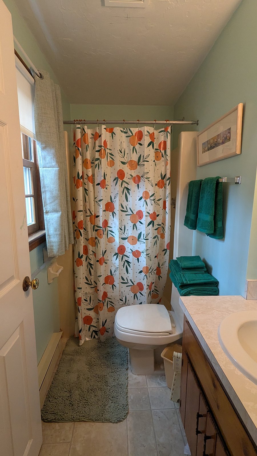 Furnished Finder property 1025495_1 photo 7
