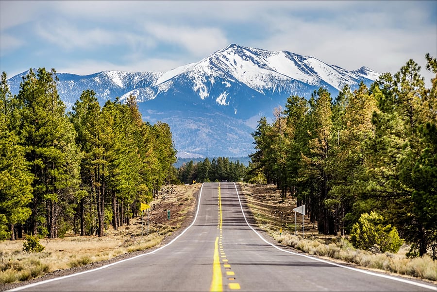 Flagstaff: 3 1/2 hour drive from Tucson