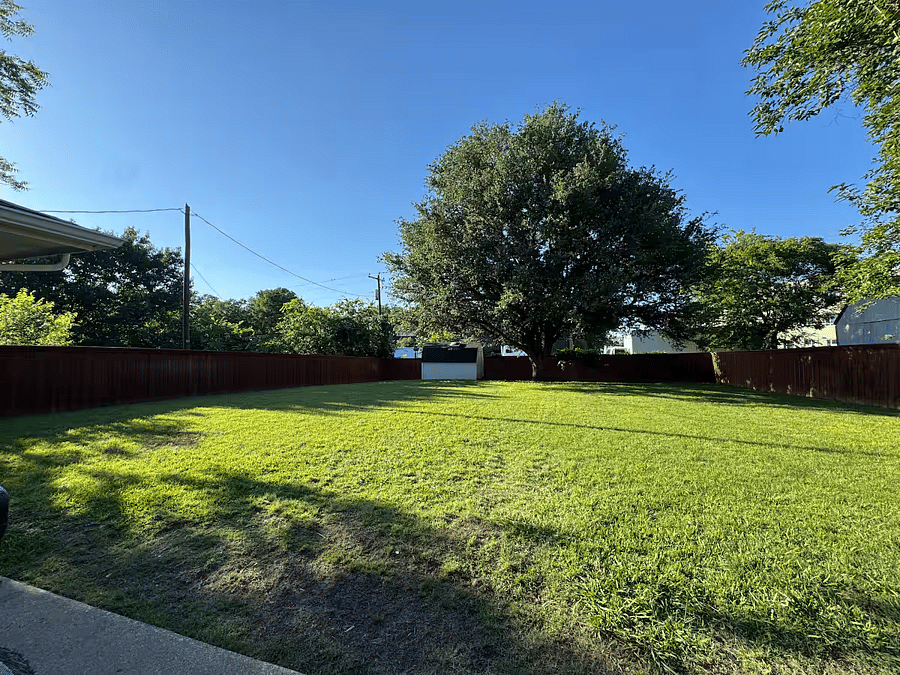 Larger Backyard