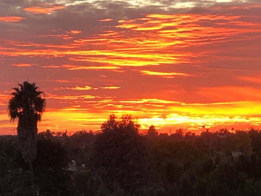Sunsets from the private roof deck make your stay at Casa Natura a genuine living experience