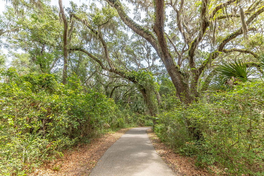 Walking/biking path