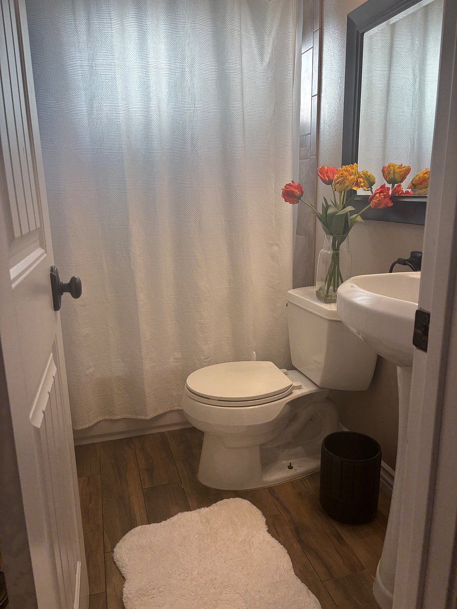 Furnished Finder property 1025777_1 photo 8