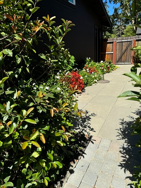 Furnished Finder property 1025779_1 photo 7