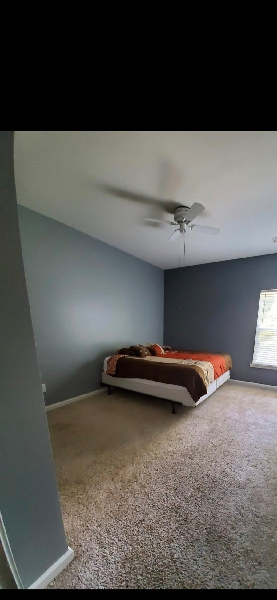 Furnished Finder property 1025939_1 photo 3