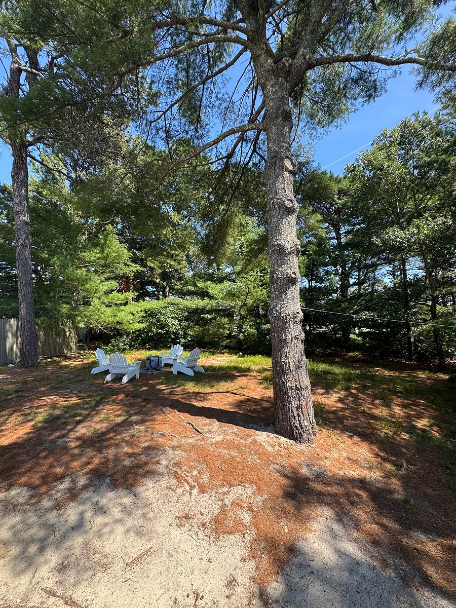 Furnished Finder property 1026062_1 photo 16
