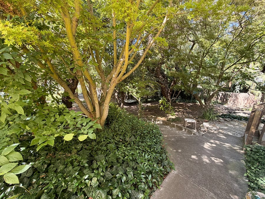 Furnished Finder property 1026099_1 photo 24