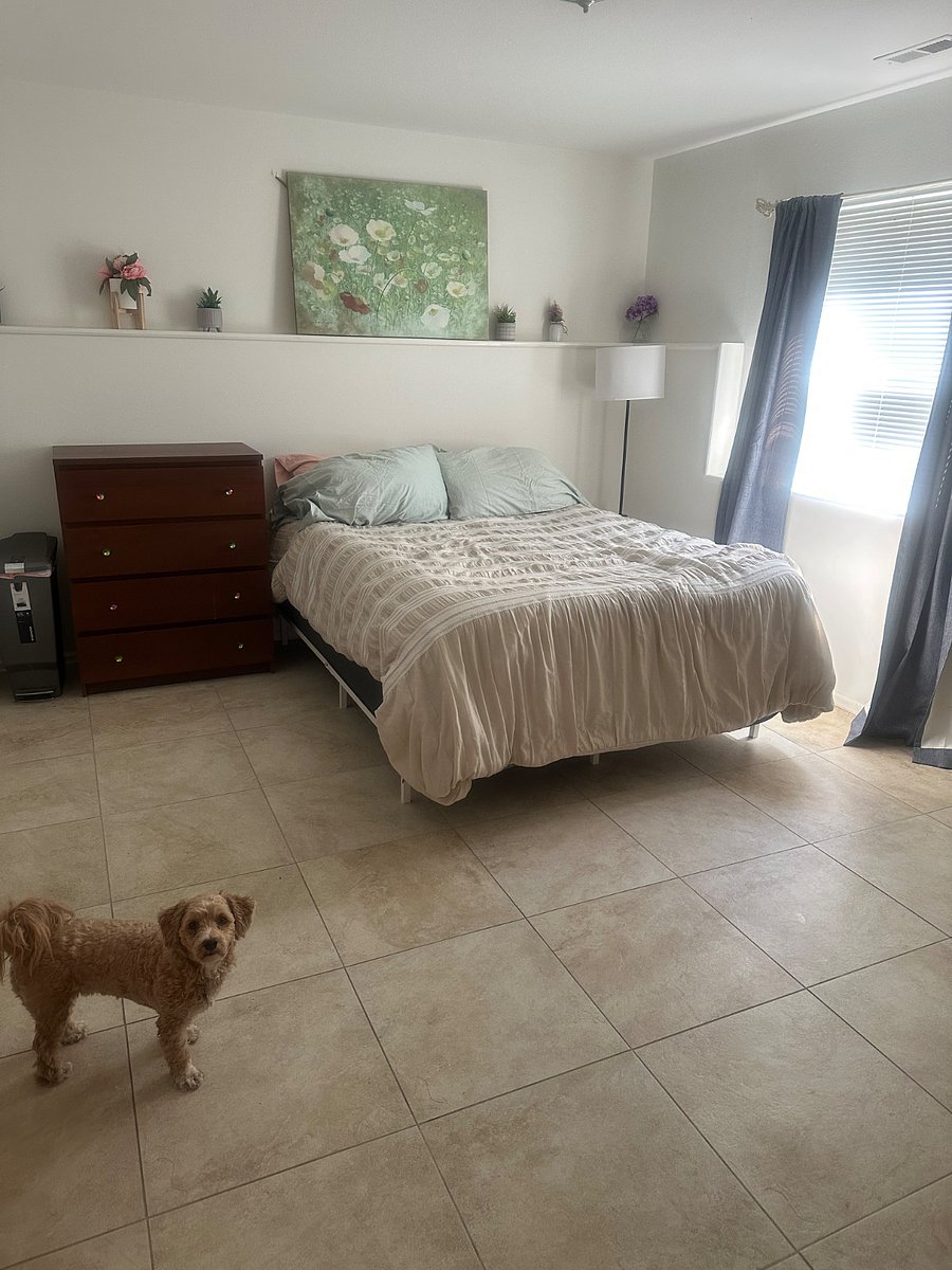 Furnished Finder property 1026127_1 photo 12