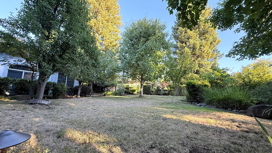 Furnished Finder property 1026173_1 photo 6