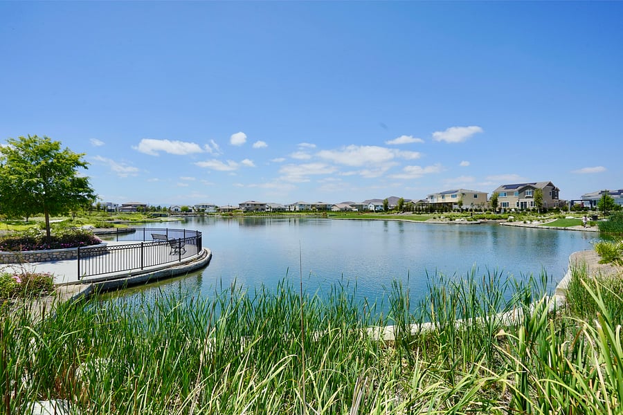 Furnished Finder property 1026175_1 photo 14